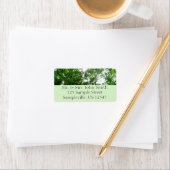 Kijkend omhoog naar de Bomen van de Zomer Etiket (Insitu)