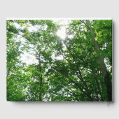 Kijkend omhoog naar de Bomen van de Zomer Gastenboek (Achterkant)