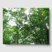 Kijkend omhoog naar de Bomen van de Zomer Gastenboek (Achterkant)