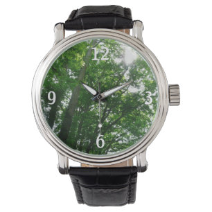 Kijkend omhoog naar de Bomen van de Zomer Horloge