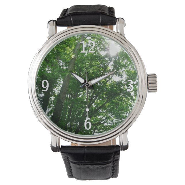 Kijkend omhoog naar de Bomen van de Zomer Horloge (Voorkant)