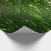 Kijkend omhoog naar de Bomen van de Zomer Houten Poster (Hoek)