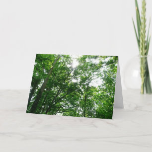 Kijkend omhoog naar de Bomen van de Zomer Kaart