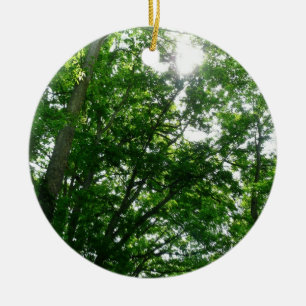 Kijkend omhoog naar de Bomen van de Zomer Keramisch Ornament