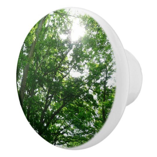 Kijkend omhoog naar de Bomen van de Zomer Keramische Knop (Rechts)