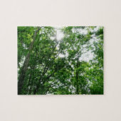 Kijkend omhoog naar de Bomen van de Zomer Legpuzzel (Horizontaal)