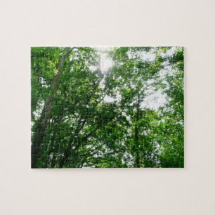 Kijkend omhoog naar de Bomen van de Zomer Legpuzzel