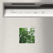 Kijkend omhoog naar de Bomen van de Zomer Magneet (Insitu (Vaatwasser))