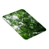 Kijkend omhoog naar de Bomen van de Zomer Magneet (Rechterzijde)