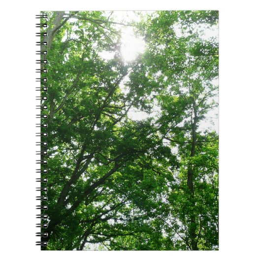 Kijkend omhoog naar de Bomen van de Zomer Notitieboek (Voorkant)
