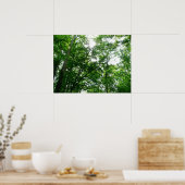 Kijkend omhoog naar de Bomen van de Zomer Poster (Keuken)