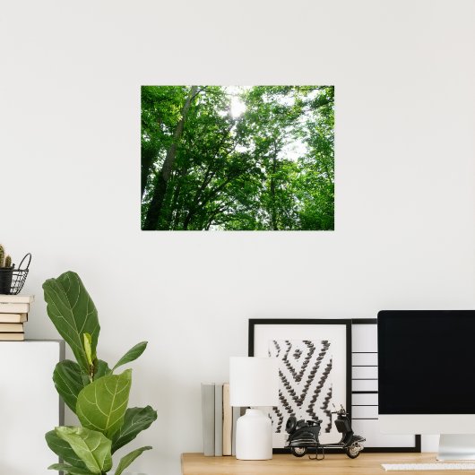 Kijkend omhoog naar de Bomen van de Zomer Poster (Thuiskantoor)