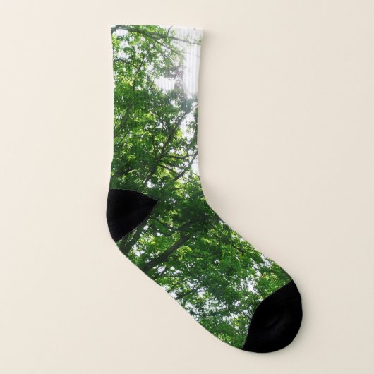 Kijkend omhoog naar de Bomen van de Zomer Sokken (Links binnenkant)