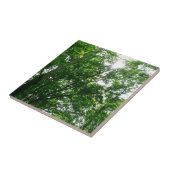 Kijkend omhoog naar de Bomen van de Zomer Tegeltje (Zijkant)