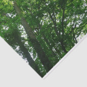 Kijkend omhoog naar de Bomen van de Zomer Tissuepapier (Detail)