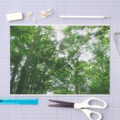 Kijkend omhoog naar de Bomen van de Zomer Tissuepapier (Craft)