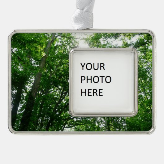 Kijkend omhoog naar de Bomen van de Zomer Verzilverd Omlijst Ornament (Voorkant)