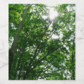 Kijkend omhoog naar de Bomen van de Zomer Wijn Etiket (Enkel label)