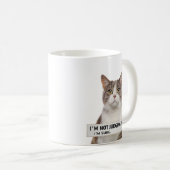 Kijkende kat sarcastische quote minimale kunst koffiemok (Voorkant rechts)