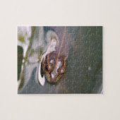 Kijkende kikker legpuzzel (Horizontaal)