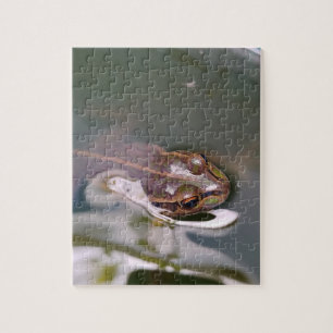 Kijkende kikker legpuzzel