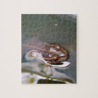 Kijkende kikker legpuzzel