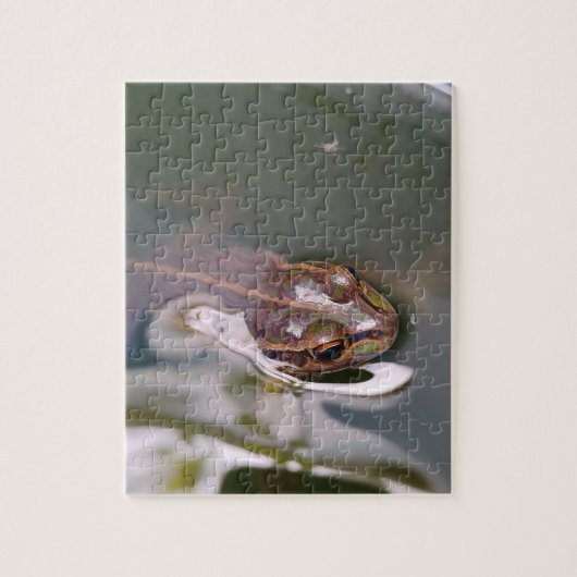 Kijkende kikker legpuzzel (Verticaal)