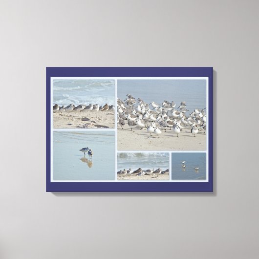 Kijkjes naar de kust canvas afdruk (Voorkant)