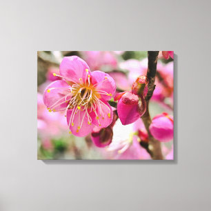 Kijkkleurige bloesem close-up canvas afdruk