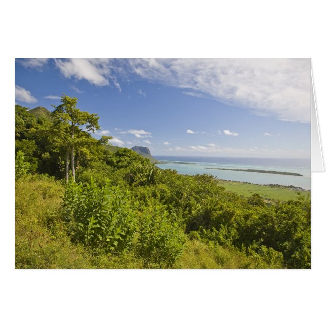 Kijkpunt nabij Grand Riviere Noire, Zuid (Voorkant Horizontaal)