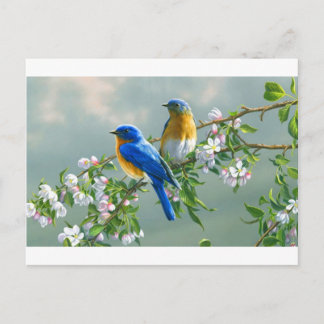 kijkschilderijen, bloemen, vogels, desktop-l- briefkaart