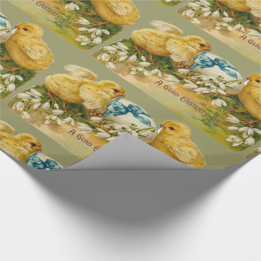 KIKENS, SNOWDROPS EN EENVOUDIGERE EGG MET BLAUW CADEAUPAPIER (Hoek)