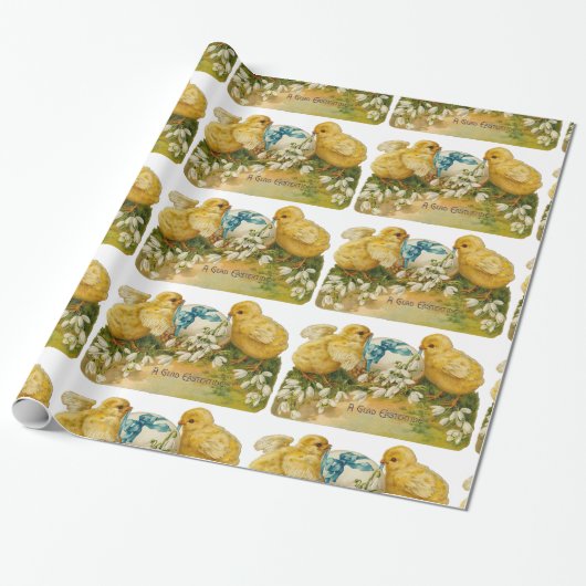 KIKENS, SNOWDROPS EN EENVOUDIGERE EGG MET BLAUW CADEAUPAPIER (Uitgerold)