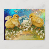 KIKENS, SNOWDROPS EN EENVOUDIGERE EGG MET BLAUW FEESTDAGENKAART (Voorkant)