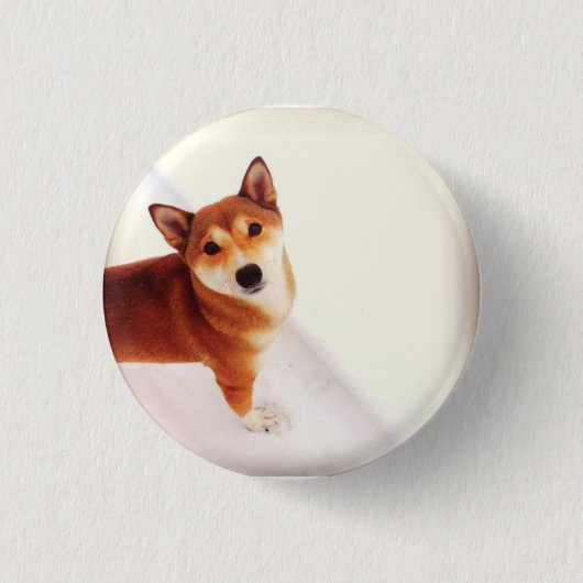 Kiki de Button van het Shiba Back Pack (Voorkant)