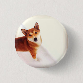 Kiki de Button van het Shiba Back Pack