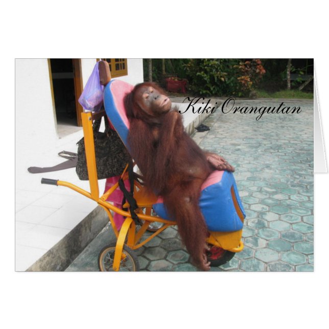 KiKi Orangutan OFI Charity (Voorkant Horizontaal)