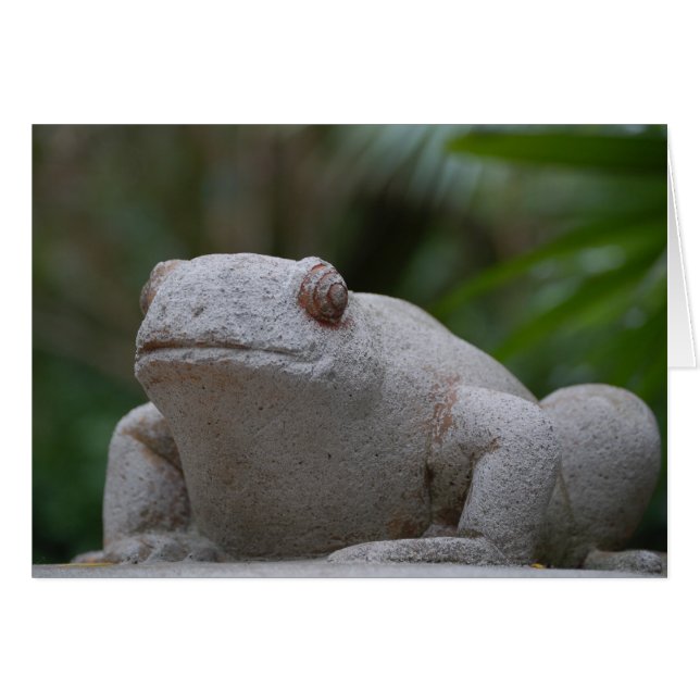 Kikker (Voorkant Horizontaal)