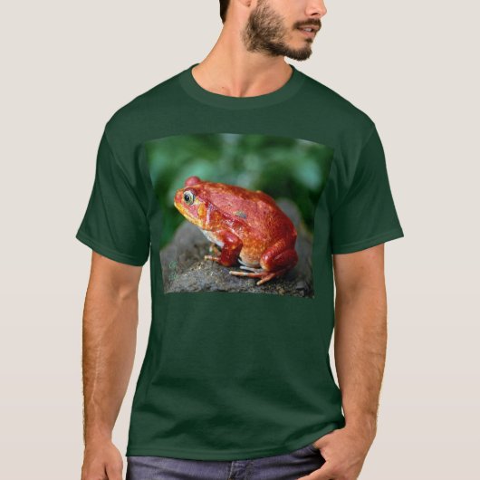 kikker1_donker/kikker t-shirt (Voorkant)