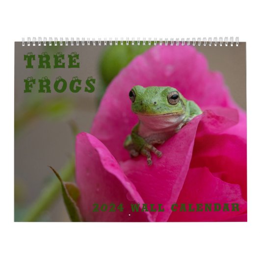 Kikker 14.25 x 11 wandkalender kalender (Hoes)