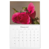 Kikker 14.25 x 11 wandkalender kalender (Feb 2027)