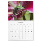 Kikker 14.25 x 11 wandkalender kalender (Mar 2027)