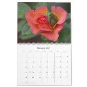 Kikker 14.25 x 11 wandkalender kalender (Jan 2027)