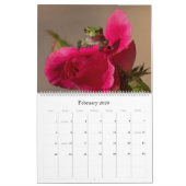 Kikker 14.25 x 11 wandkalender kalender (Feb 2026)