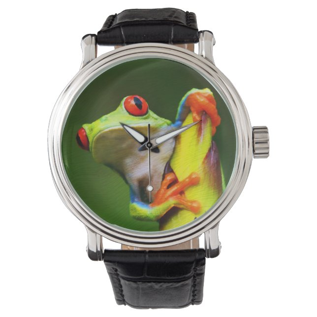 Kikker 2 Horloge & Nummeropties (Voorkant)