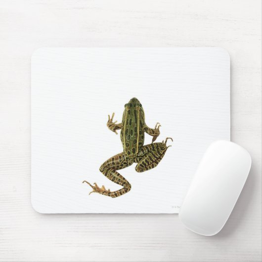 Kikker 2 muismat (Met muis)