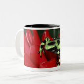 Kikker 2 tweekleurige koffiemok (Voorkant links)