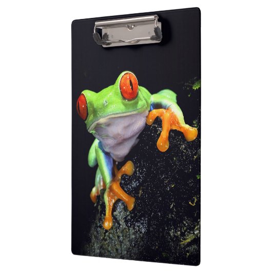 Kikker 3 Klembord (Links)