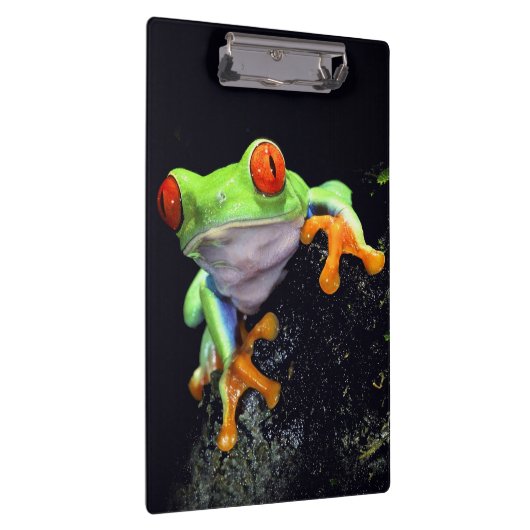 Kikker 3 Klembord (Rechts)