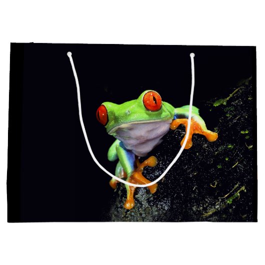 Kikker 3 large cadeautasje (Achterkant)